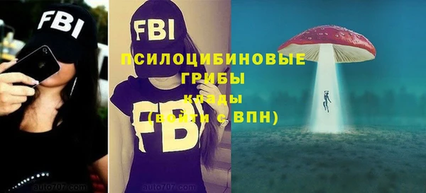 меф Осинники