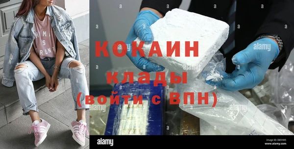 мдпв Осташков