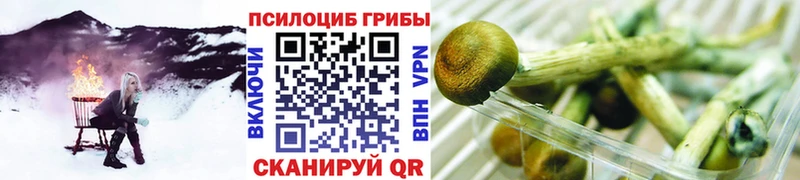 Псилоцибиновые грибы MAGIC MUSHROOMS  Байкальск 